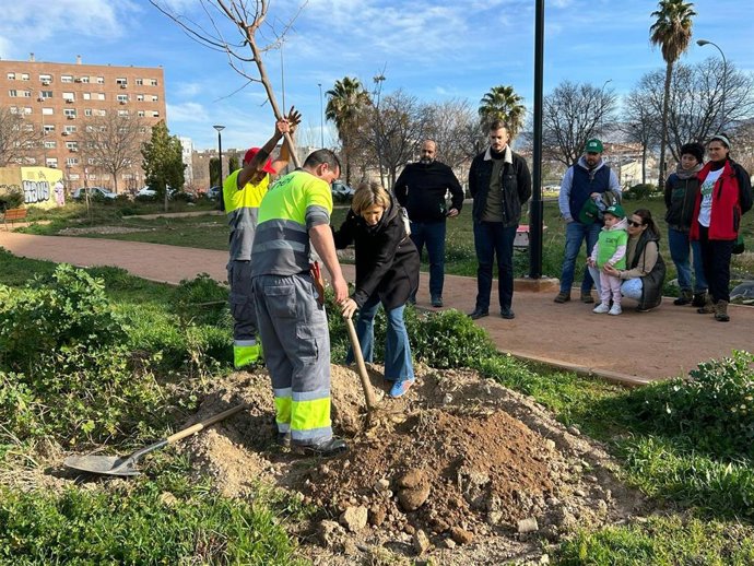 Imagen de nuevas plantaciones en un parque de Granada.