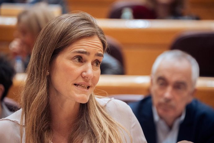 A terceira vice-presidente e ministra da Transio Ecológica e do Desafio Demográfico, Sara Aagesen, durante uma sesso de controle do governo no Senado, em 11 de fevereiro de 2025, em Madri (Espanha). O governo enfrenta a primeira sesso de controle do