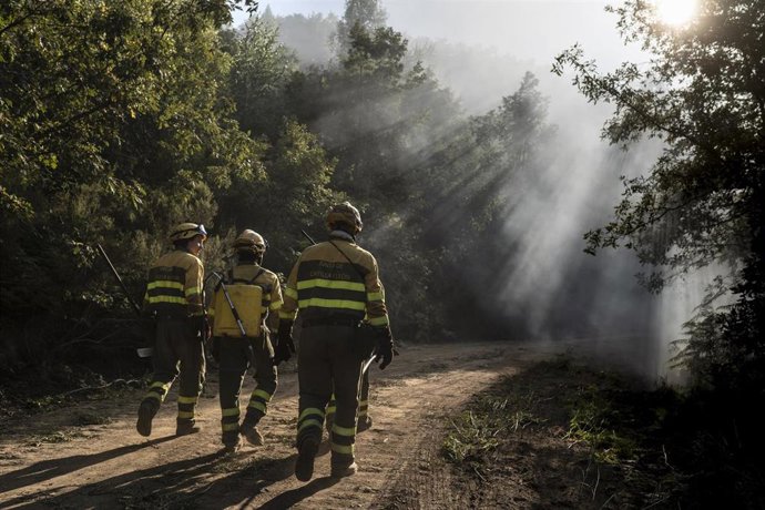 Estabilizada "buena parte del perímetro" del incendio de Brañuelas (León)