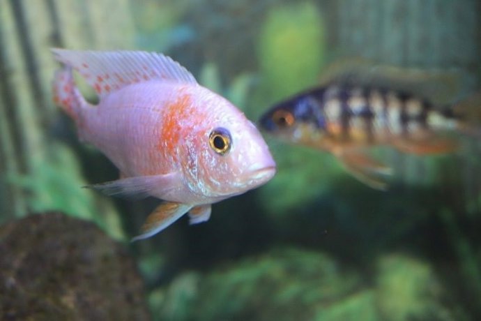 Museo de la Ciencia y el Agua