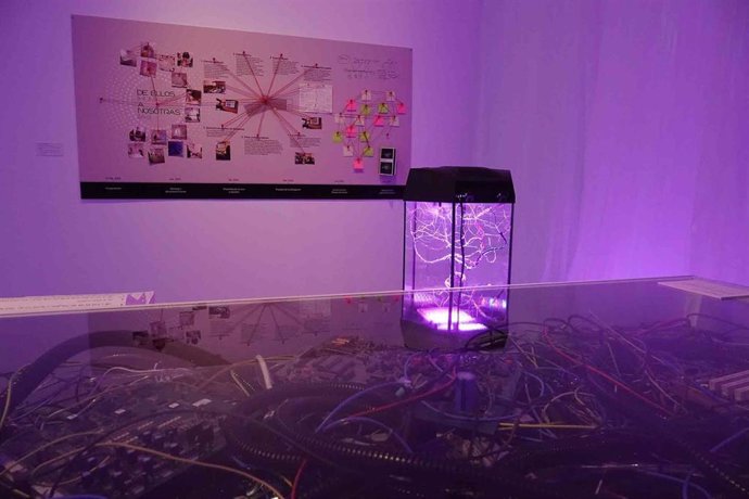 Esta exposición-instalación ee una interpretación libre de la novela de ficción 'Membrana' (2021), de Jorge Carrión, donde se anuncia la inauguración de un museo concebido y diseñado por IAs en el siglo XXII.