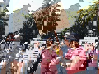 Manifestantes acuden a la convocatoria de 'Canaria