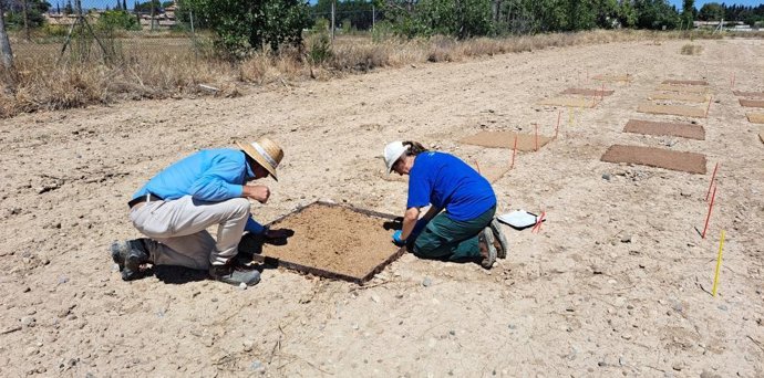 El CITA organiza una jornada técnica sobre hidroacolchados como método para el control de las malas hierbas