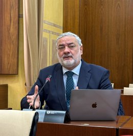 Imagen el parlamentario granadino del PP Pablo García.