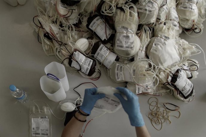 Archivo - Una sanitaria separa las bolsas de transfusión de sangre antes de introducirlas en la centrifugadora para separar los componentes de la sangre.