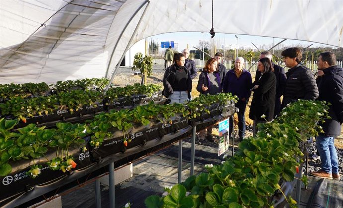 La UHU incorpora un equipamiento de riego y fertilización en la planta experimental de Ciencias Agroforestales.