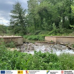 Imagen actual de la estación de aforo