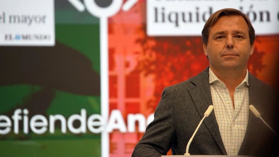 El secretario general del PP-A, Antonio Repullo, este lunes