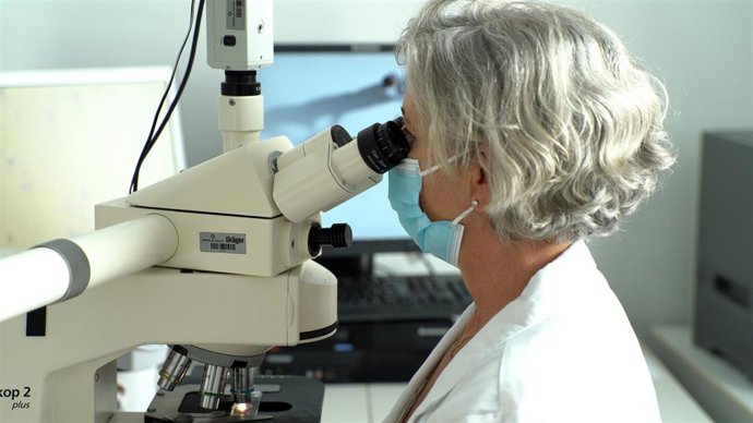 El Área de la Mama de Ribera apuesta por la investigación para afinar diagnósticos de cáncer y personalizar tratamientos