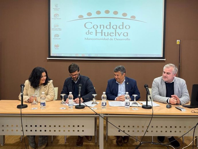 Creación de la Comisión Mixta Paritaria de Seguimiento y Control del cumplimiento del Convenio para el Mantenimiento del Centro Municipal de Información a la Mujer en el Condado de Huelva