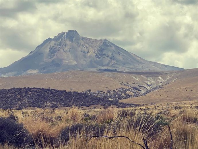 El ecosistema del Pichu Pichu, en los Andes peruanos, es más difícil de regenerar tras el incendio de 2018, según la UMH.