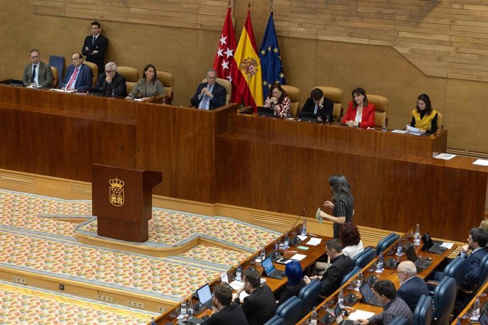 La portavoz de Más Madrid en la Asamblea, Manuela Bergerot, interviene durante un pleno en la Asamblea de Madrid