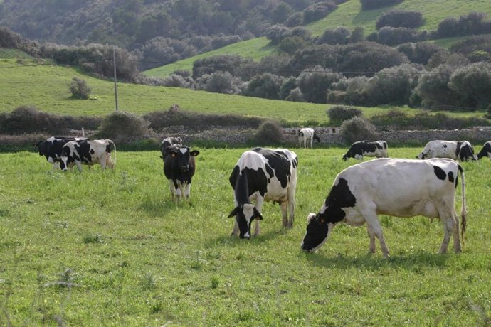 El Govern abre una convocatoria de ayudas de 6,3 millones de euros para agricultores.