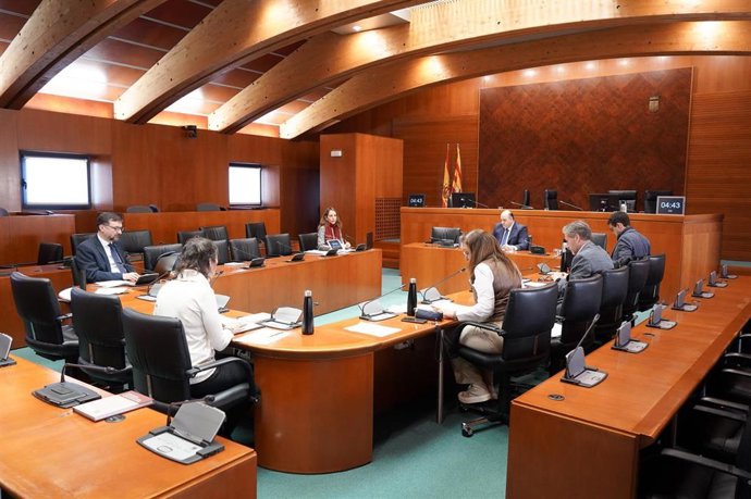 Ponencia de las Cortes de Aragón de relaciones con la Cámara de Cuentas.