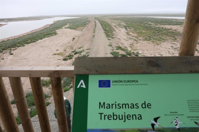 Vista de las marismas de Trebujena, recuperadas tras una inversión de la Junta de Andalucía