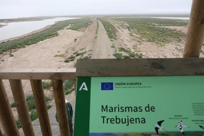 Vídeo de la noticia