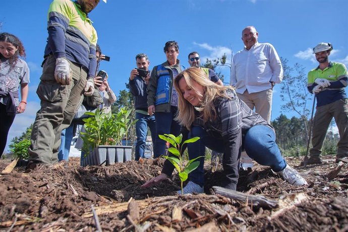 La presidenta del Cabildo de Tenerife, Rosa Dávila, planta un árbol en el monte de Las Calderetas, en El Sauzal