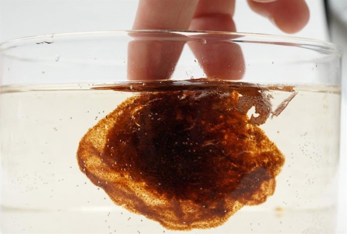 Um componente da noz de malva mostra uma alta capacidade de ser convertido naturalmente em biogel.
