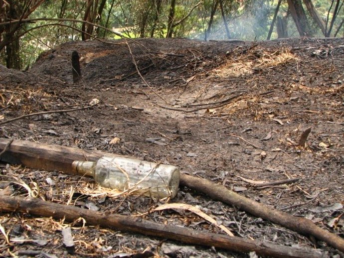 Archivo - Incendio forestal en foto de archivo