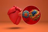 Foto: Médico recomienda medir la lipoproteína (a) en pacientes con antecedentes familiares de enfermedades cardiovasculares