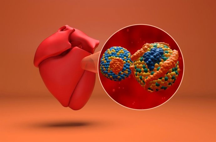 Lipoproteína (a)
