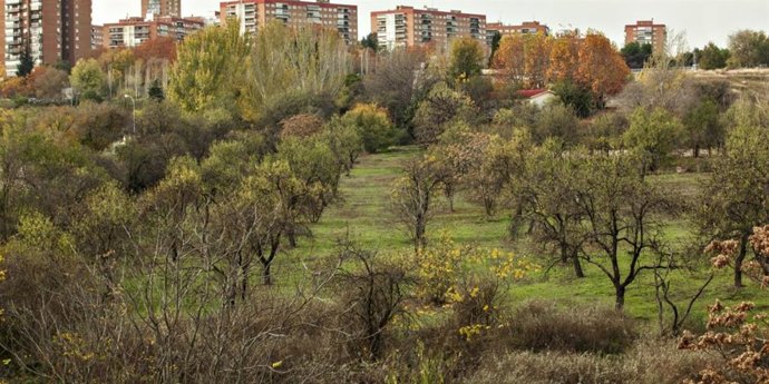 Arbolado de la Huerta de Mena en Madrid