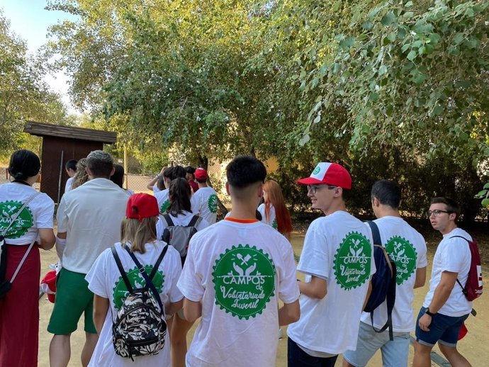 Voluntarios, en una imagen de recurso.