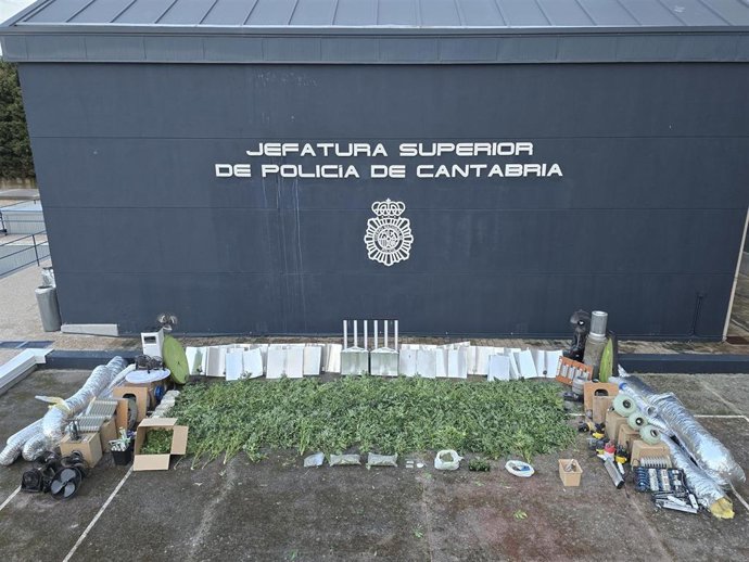Demantelada en Castañeda una plantación de marihuana indoor con casi 300 plantas