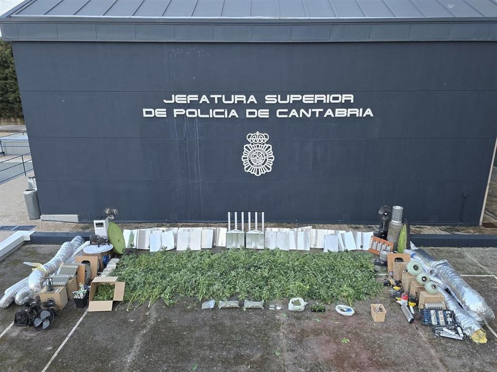 Demantelada en Castañeda una plantación de marihuana indoor con casi 300 plantas