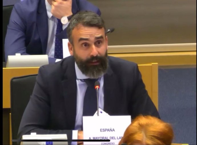 El diputado nacional del PSOE por Córdoba, Alberto Mayoral, durante su intervención en el Parlamento Europeo.