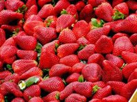 El error que casi todos cometen al lavar fresas: cómo hacerlo bien para eliminar pesticidas y suciedad, según un experto