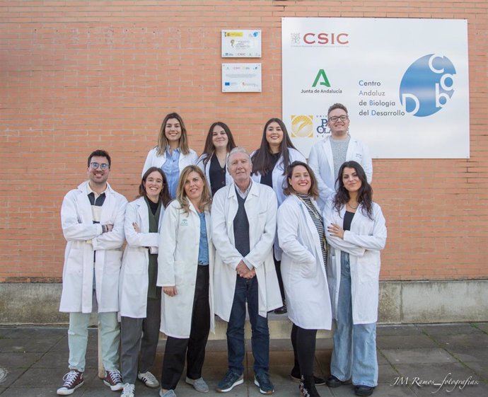 Equipo de investigación liderado por el catedrático de Biología Celular de la UPO José Antonio Sánchez Alcázar, en el centro de la imagen.