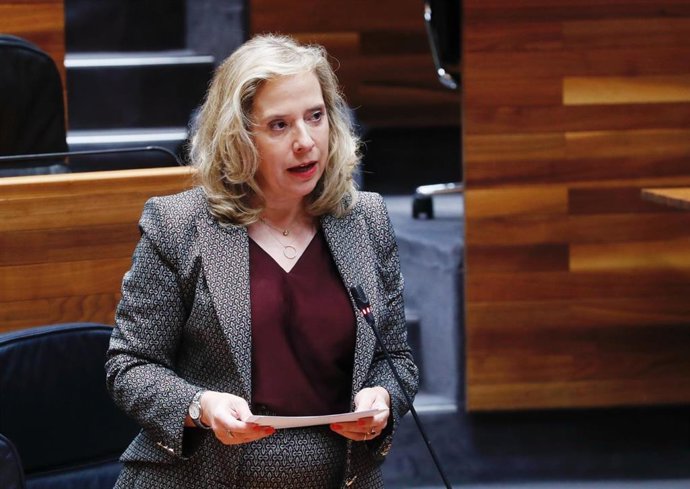 La recién consejera de Transición Ecológica, Industria y Comercio, Belarmina Díaz, interviene en el Pleno de la Junta.