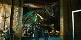 Foto: Jurassic World: El renacer traerá de vuelta a un mítico dinosaurio 20 años después