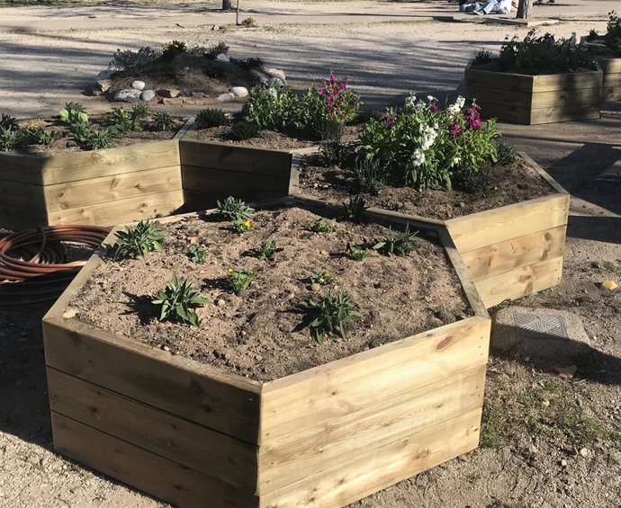 Huerto y flores en un partere en altura en un colegio