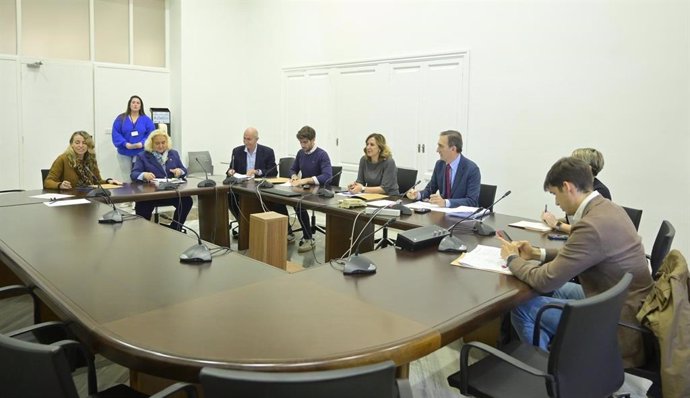 Archivo - Arxiu - Comissió no permanent per a l'estudi i recuperació de les zones afectades per la dana a la ciutat de València (arxiu)