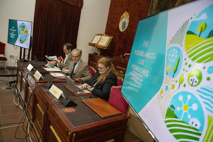 El presidente de la Diputación de Córdoba, Salvador Fuentes (centro), en la reunión con los alcaldes del Área Urbana Funcional (AUF) de Pozoblanco-Los Pedroches.