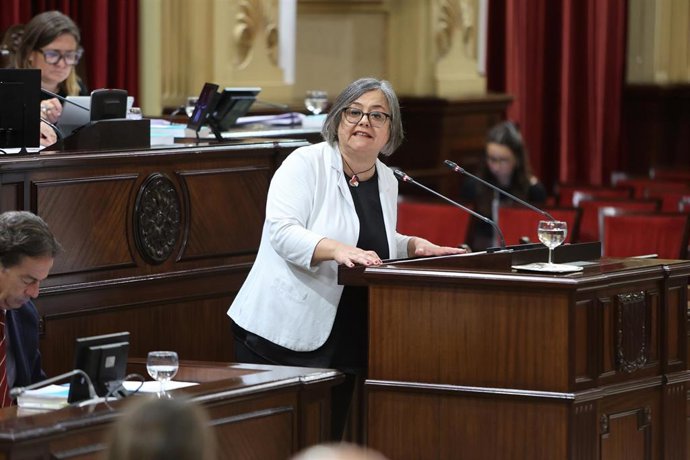 Archivo - La Diputada en el Parlamento de las Islas Baleares por Podemos, Cristina Gomez