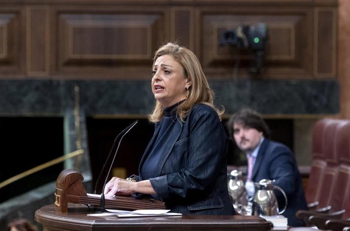 La diputada de Coalición Canaria, Cristina Valido, en el Pleno del Congreso.