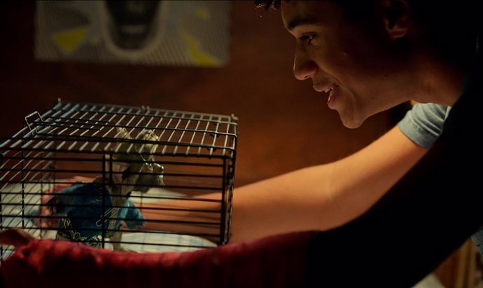 Jack Dylan Grazer es Thimbletack en Las Crónicas de Spiderwick: "Todavía existe algo verdaderamente mágico en el mundo"