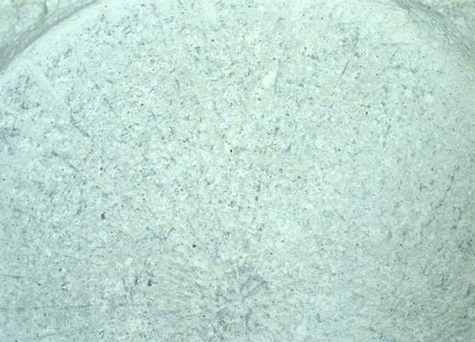 Amostra da rocha marciana "Serpentine Lake" que mostra intensa alteração da água.