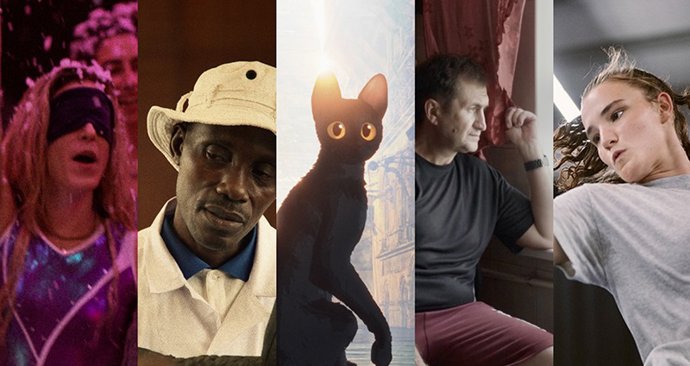 Imágenes de las películas finalistas