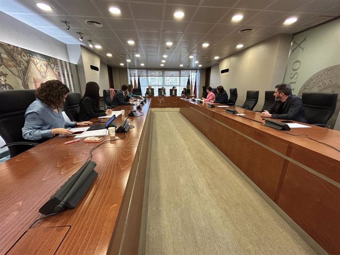 Comisión Especial de Investigación sobre derivaciones presuntamente irregulares del SMS a la sanidad privada