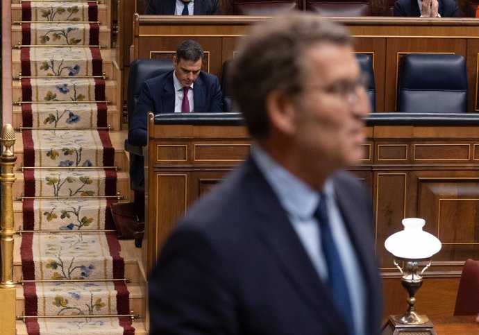 Archivo - El presidente del PP, Alberto Núñez Feijóo y detrás, el presidente del Gobierno, Pedro Sánchez, durante un pleno en el Congreso de los Diputados, a 20 de diciembre de 2023, en Madrid (España). Durante la sesión de control, el presidente del Gobi