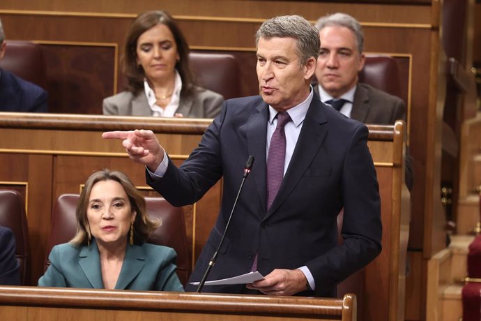 El president del PP, Alberto Núñez Feijóo, intervé durant una sessió de control, Congrés dels Diputats, a 12 de febrer del 2025, a Madrid (Espanya).