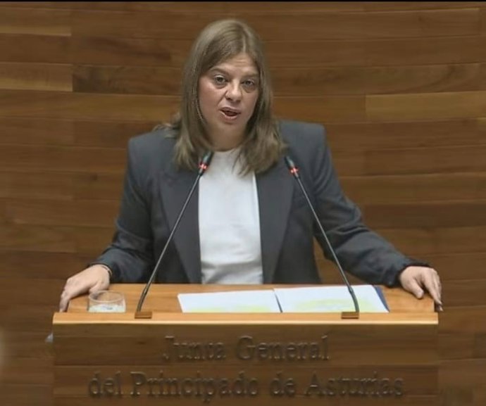 La vicepresidenta del Gobierno del Principado, Gimena Llamedo