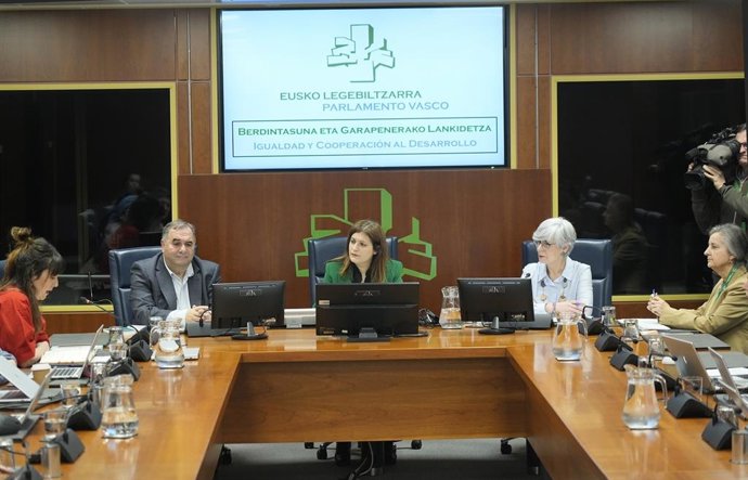 Elgarresta ha comparecido ante la Comisión de Igualdad para informar sobre la situación de los recursos de atención 24 horas a víctimas de violencia sexual