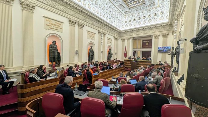 Pleno de la Cámara foral