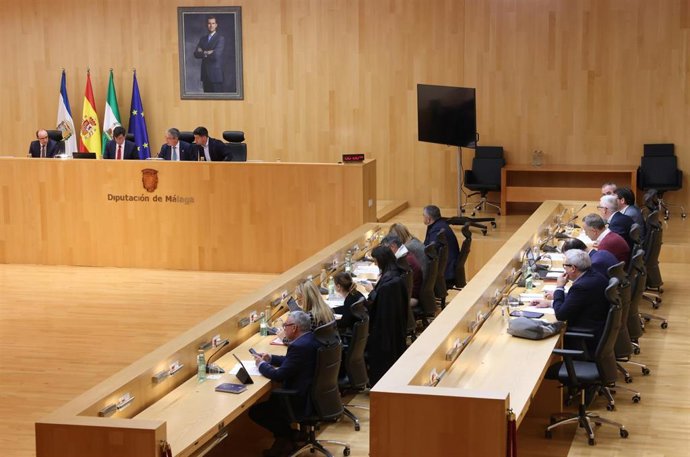 Sesión plenaria ordinaria del mes de febrero de la Diputación provincial de Málaga.