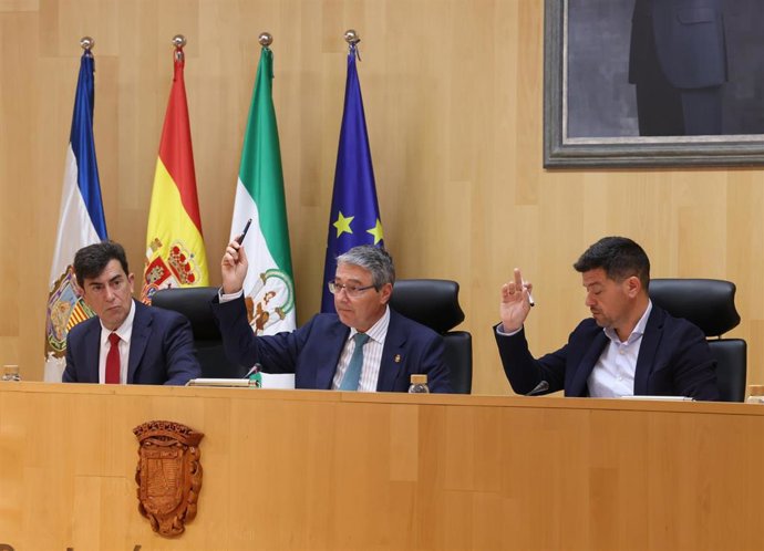 Un momento de la sesión plenaria en la Diputación de Málaga.